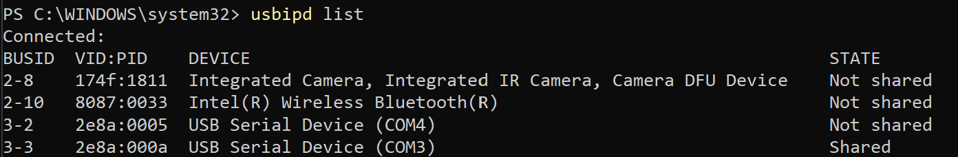 Windows usbipd list output after Hackster is connected