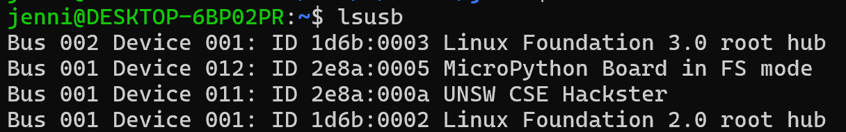 WSL lsusb output after Hackster is connected