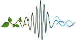 International
Society of Ecoacoustics (ISE)
