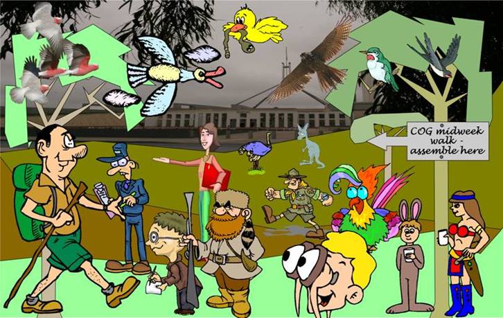 'The Midweek Walk'.JPG