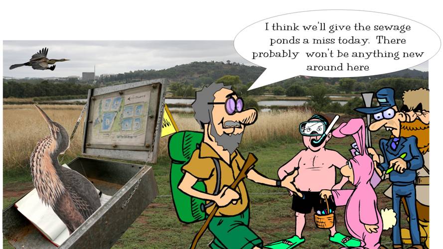 the midweek walk.jpg