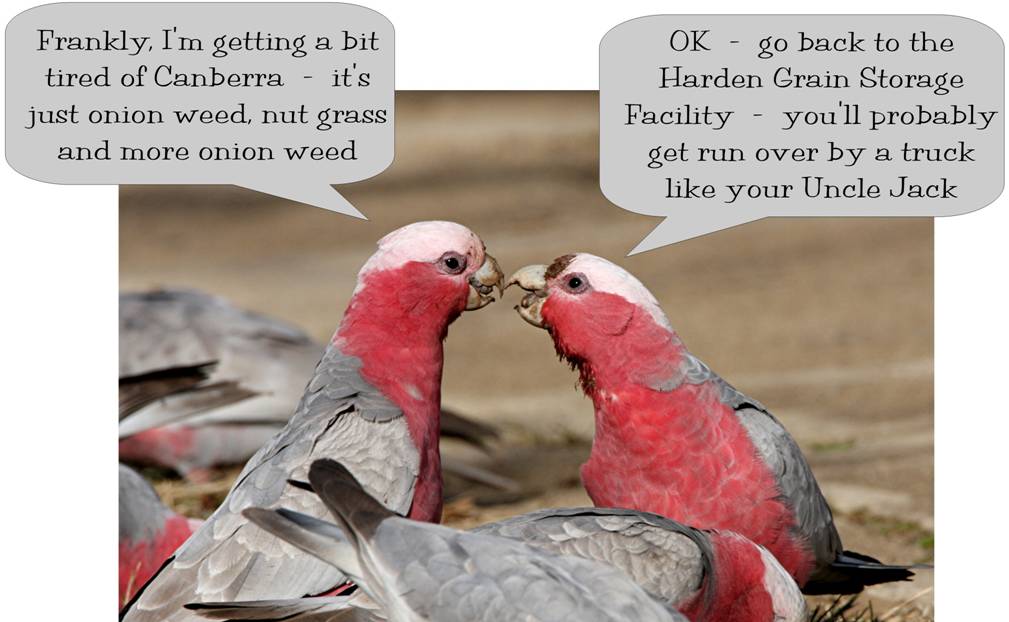 The Discussion.jpg