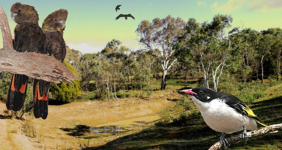 Triangular Waterhole.jpg