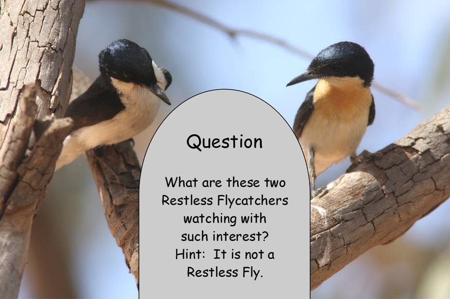 RF question_2434.JPG
