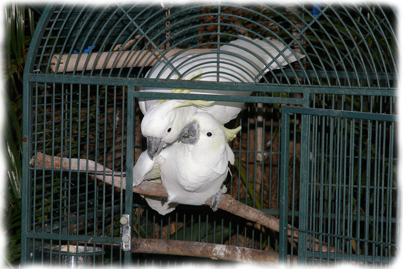 ATT00069.jpg