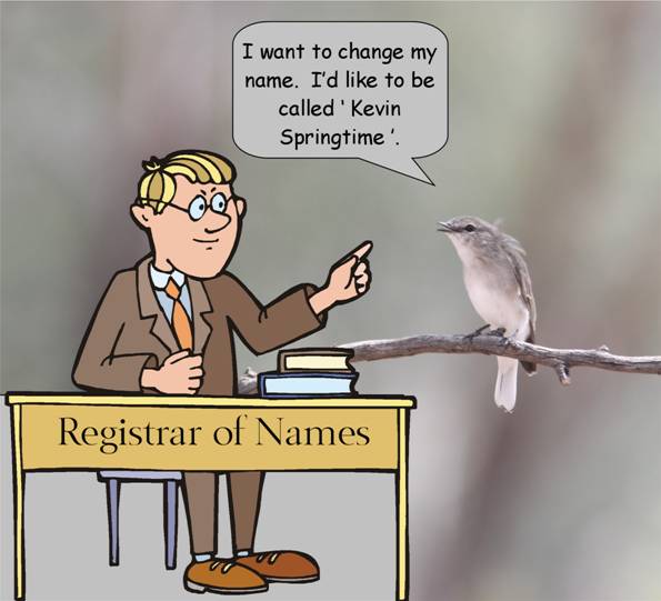 young kev.jpg