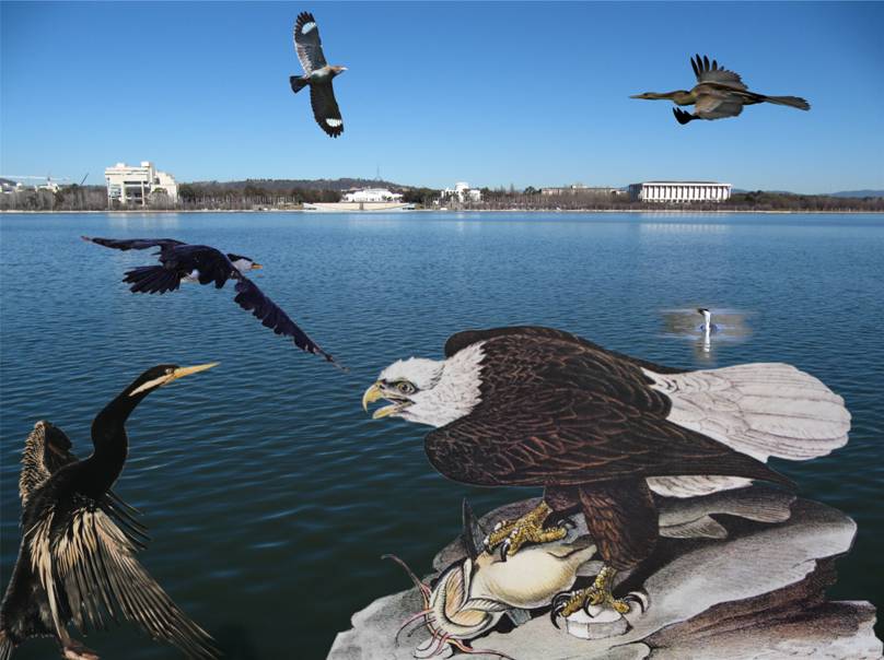 LBG.jpg