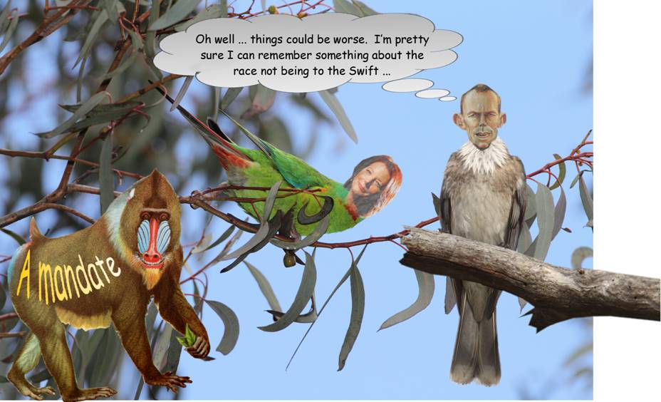 Canberra aviary.jpg