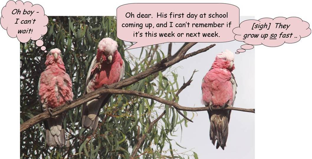 schooldays_2653.jpg