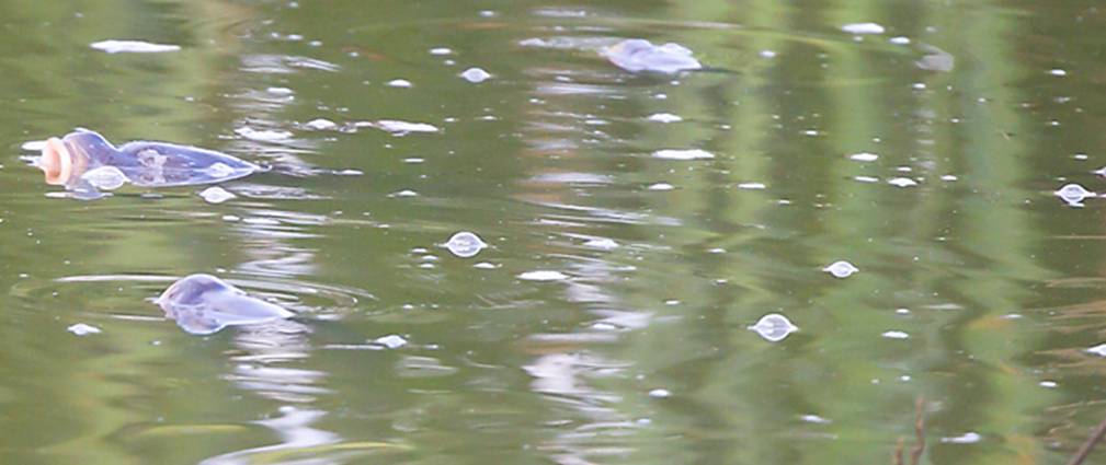 _MG_6031.jpg