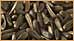 niger thistle seed