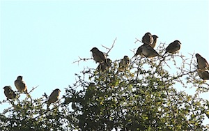 Inline image 2