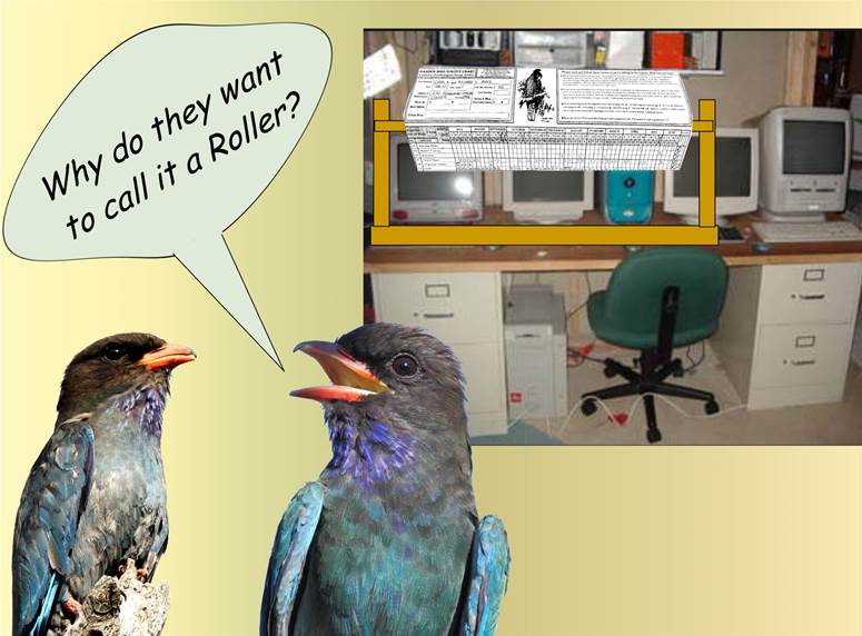 cid:<script language=
