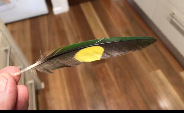 image1.jpeg