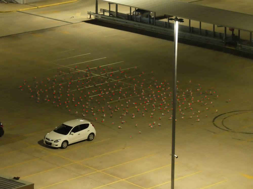 17 98 gulls.jpg