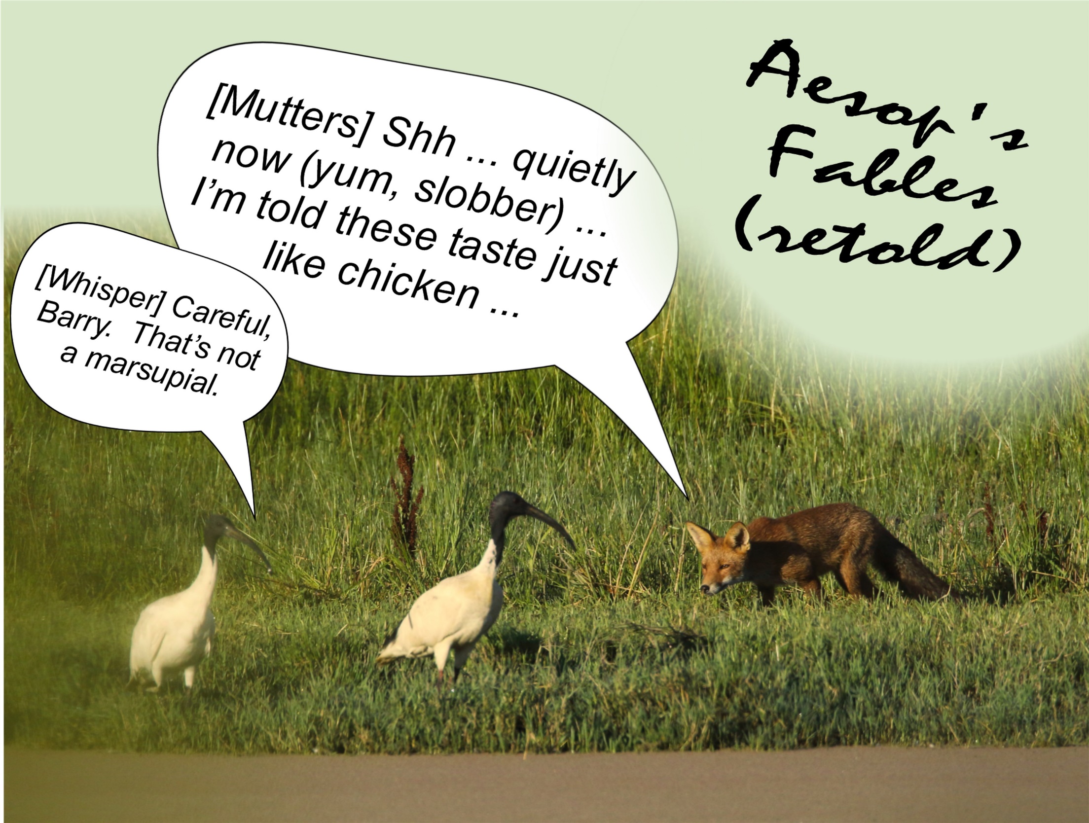 A picture containing text, grass
Description automatically generated