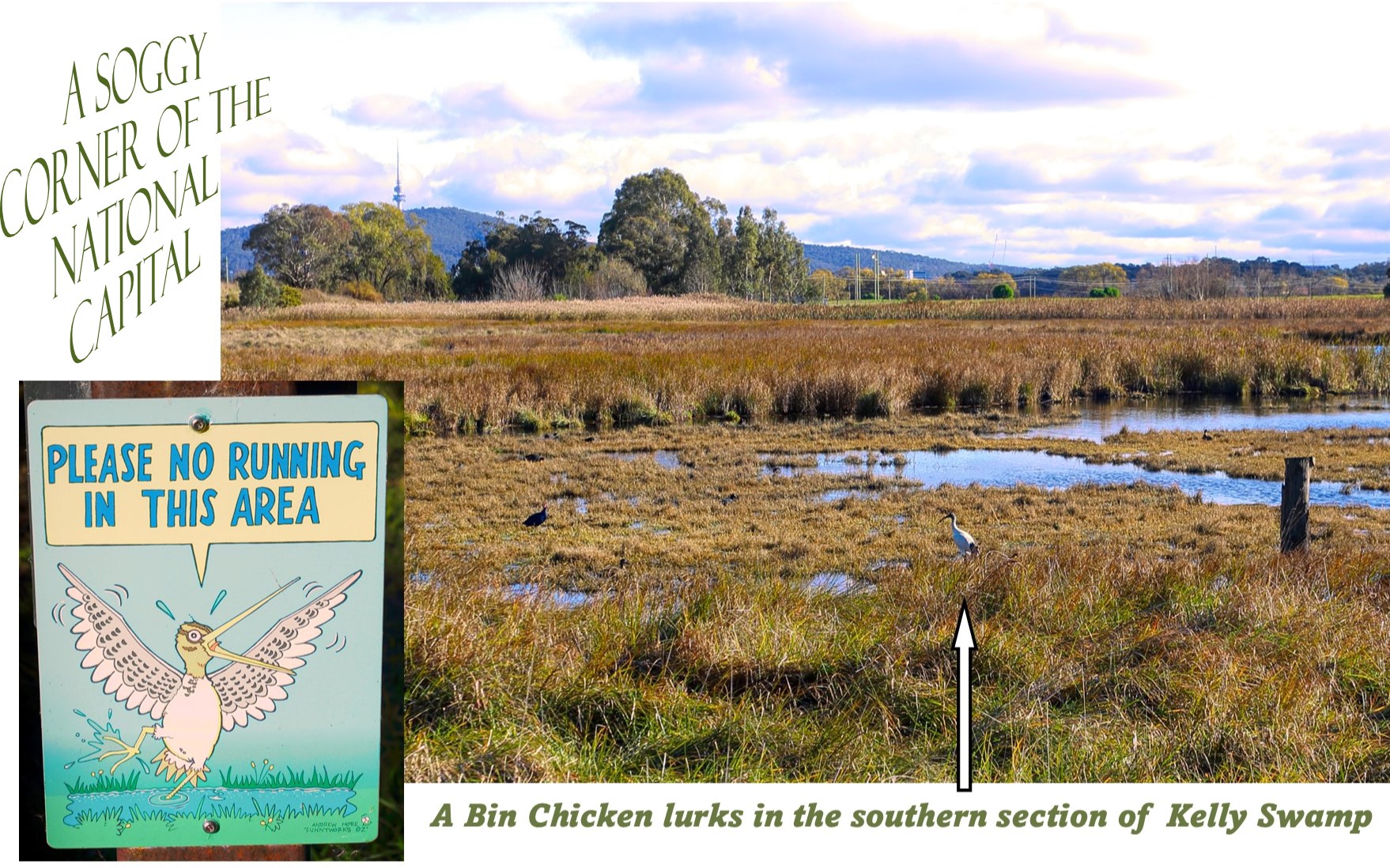 A sign in a field
Description automatically generated with low confidence