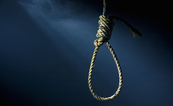 [Diagram:Pic/noose1.jpg]