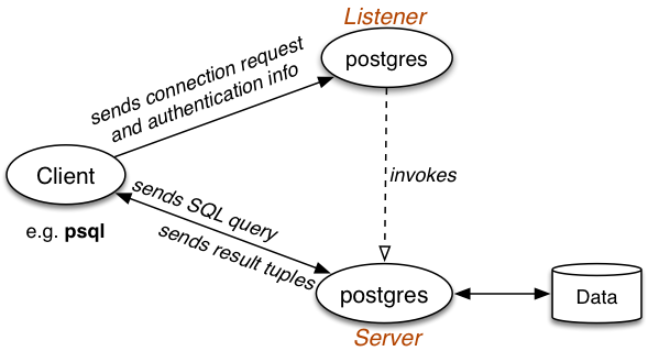 [Diagram:Pics/intro/pg-processes.png]