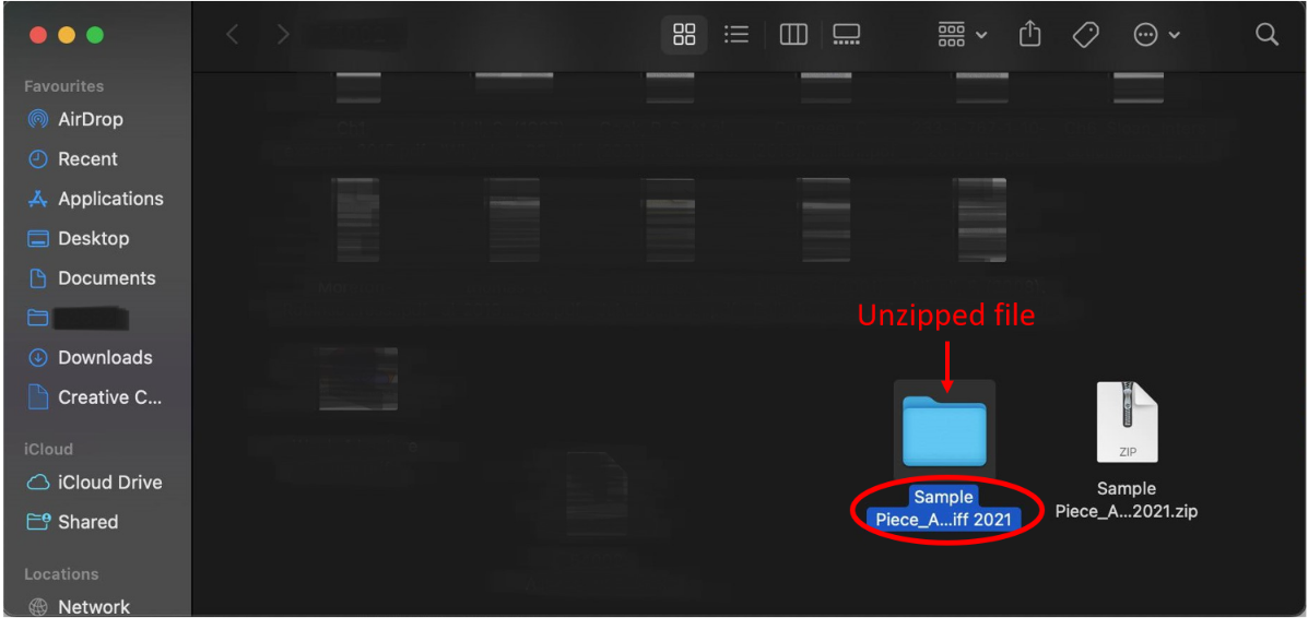 Extracted ZIP contents shown next to ZIP file