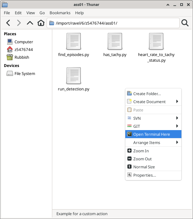 Open Terminal Here selected in file manager context menu