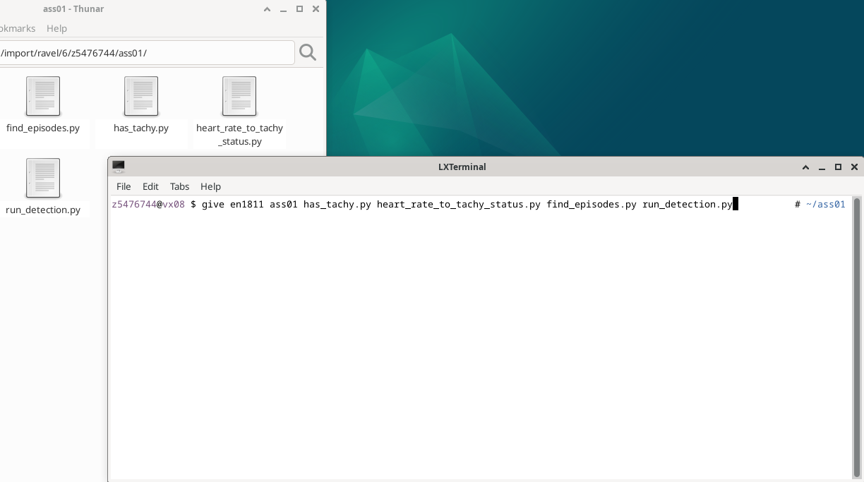 Submission command typed inside terminal window