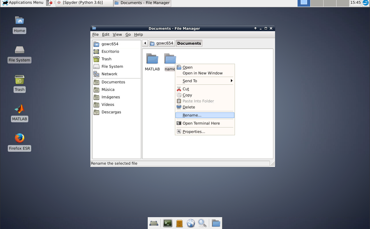 VLAB file manager context menu with Rename selected
